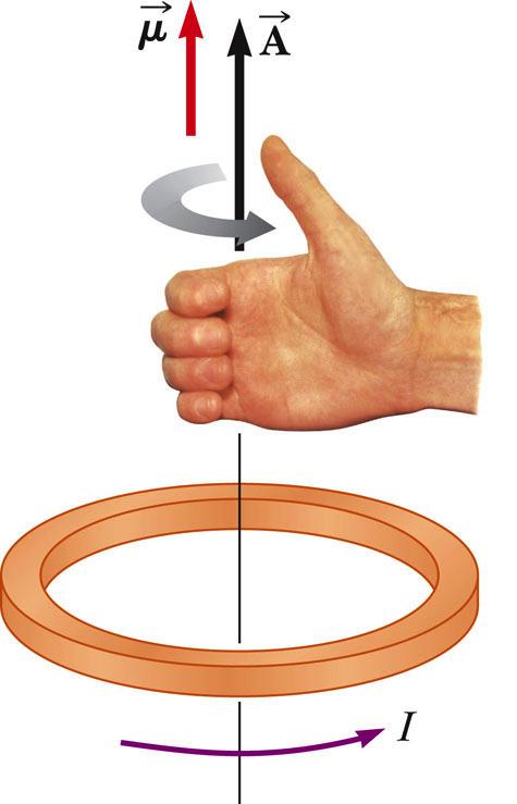 Direction of a current loop and the magnetic dipole moment The right-hand rule can be used to determine the direction of A Curl your fingers in the direction of the current in the loop Your thumb