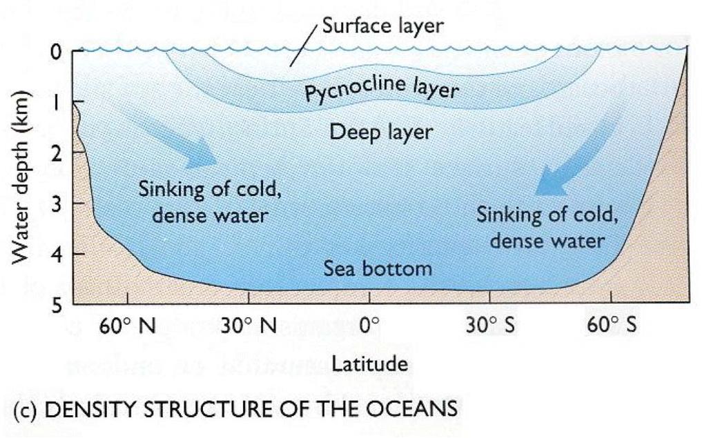 11 A Two Layered Atlantic Ocean Cold water at the poles becomes dense as it cools and sinks to a depth dependant on the density with the coldest and densest water sinking the deepest.
