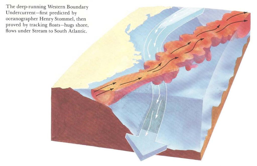 12 Atlantic Ocean-Deep Western Boundary Current (DWBC) The DWBC is a