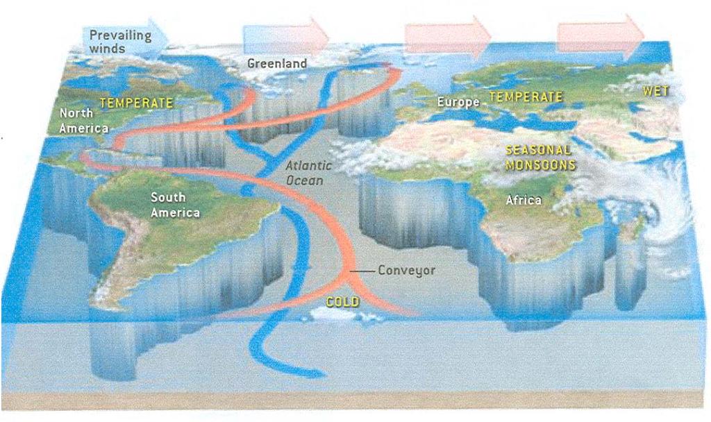 4 The Oceanic Conveyor Belt Moves Heat Poleward The oceanic conveyor belt consists of (1) sinking in the North Atlantic polar region - as the ocean gives up its heat to the atmosphere- (2) deep