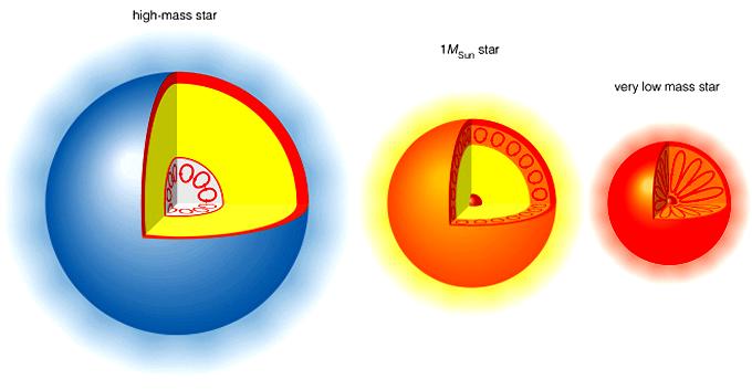 Differences in Stellar Structures Regarding the Energy Transport Convective