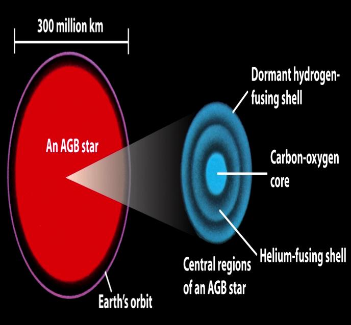 Dredge-ups bring the products of nuclear fusion to a giant star s surface As a low-mass star ages, convection occurs over a