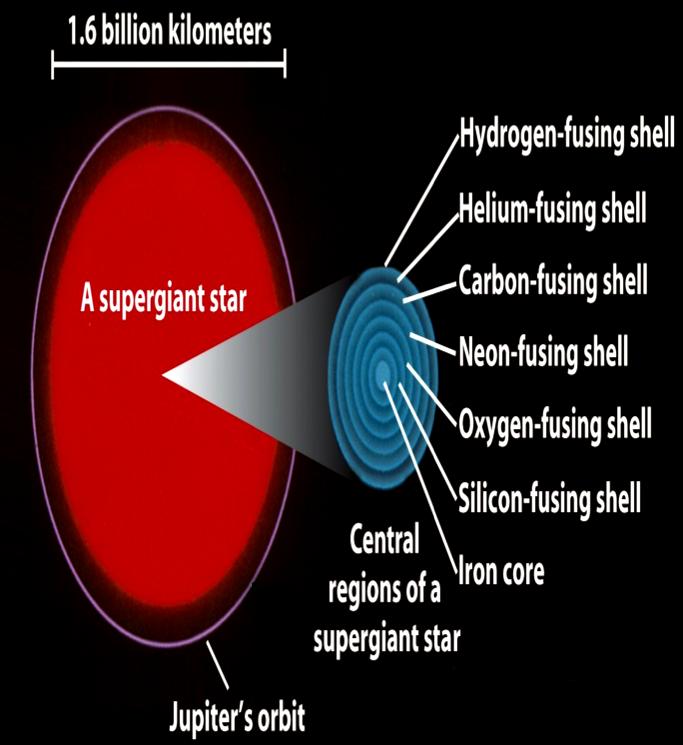 In the last stages, a high-mass star has an Fe-rich core surrounded by concentric shells hosting the various thermonuclear reactions The sequence of