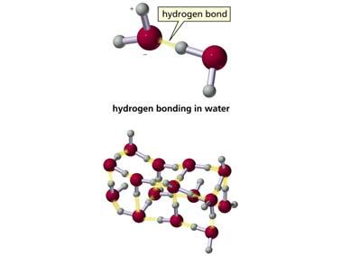force but weaker than ionic or covalent bonds A