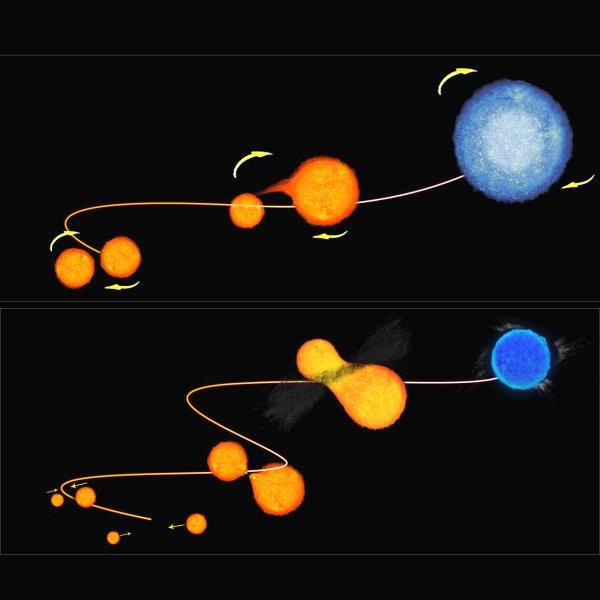 Binary Star Theories BSs are members of binary systems that have gained mass from their initially more massive companions, after these have reached an appropriate size in the course of their
