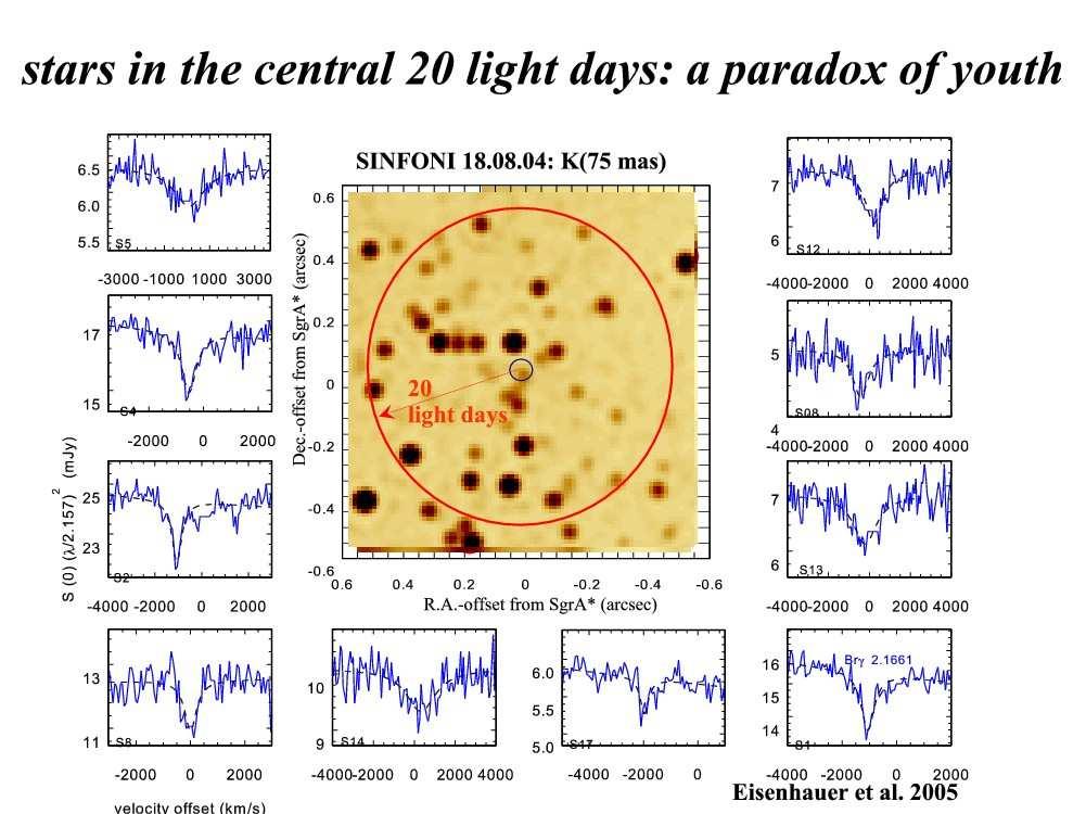 Stars in the central 20 light days Scientific prospects for VLTI