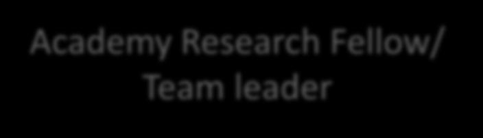 Research Fellow/ Team leader