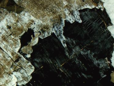 Fig. 9. In this photomicrograph of Cape Ann granite, microcline is dark gray (bottom, right), and plagioclase is light gray to white and partly altered to clay (tan; left side and top).