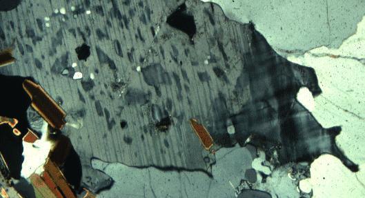 7 Central City, Colorado (USA) Fig. 6. Microcline (dark gray, grid-twinning) in this photomicrograph from myrmekite-bearing granite is in a more advanced stage of replacement of plagioclase.