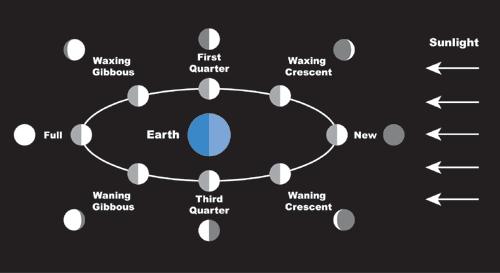 Use the following picture to help you understand the Moon s motion around Earth and how this creates the phases of the Moon. How does this help you understand the sketches you made above?