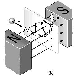 The magnetic force does no work on the particle since the magnetic force is always perpendicular to the motion. 3.