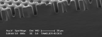 silicon masters (iii) Polymer micro-pillar structures