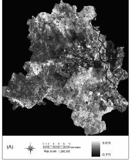 Estimation of land surface temperature over Delhi using Landsat-7 ETM+ Figure 2. Spatial distribution of (A) NDVI and (B) Fractional vegetation cover from Landsat-7 ETM+. are in the range of -0.
