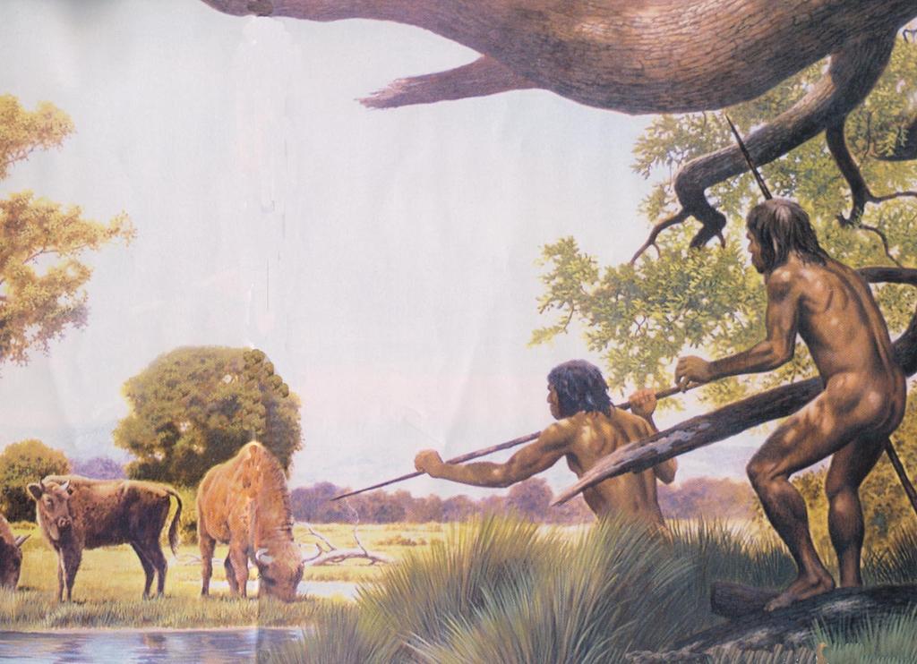 Homo heidelbergensis hunting at