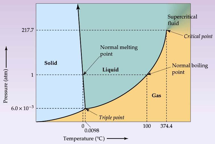 Phase Diagrams A Phase Diagram is a graphical display of the temperatures and pressures at which two phases of a substance are