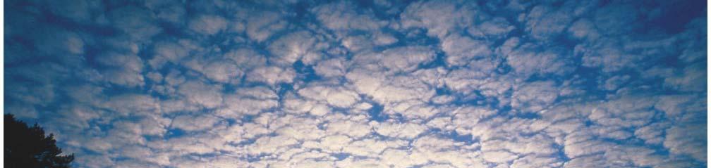 Altocumulus Clouds (from