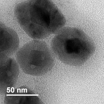 shell on Pd-Cu 2 O nanostructures.