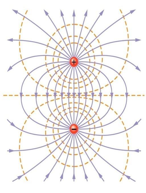 Magnetic Field lines: (defined from