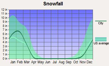 Average total snowfall and days with new snow in