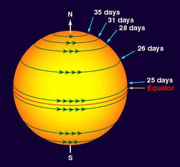 The Sun rotates fastest at the equator, and slowest at the poles Called differential rotation 14 Sun does not rotate as a rigid