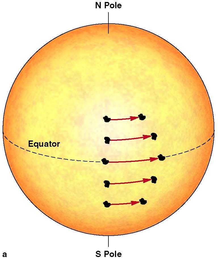 The Sun s Rotation and Magnetic Field: Impact on Activity The Sun is a `ball of gas that