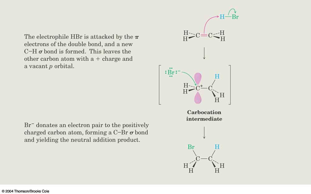 Mechanism of Addition of HBr to Ethylene w3.ualg.