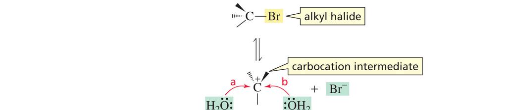 The carbocation reaction
