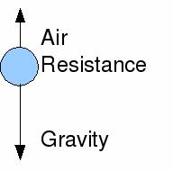 Forces exerted by the object on other objects are not included in the diagram.