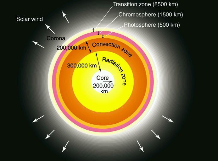 The Interior Structure of the Sun (not to scale) How does energy get from core to surface? core photon path Let's focus on the core, where the Sun's energy is generated.