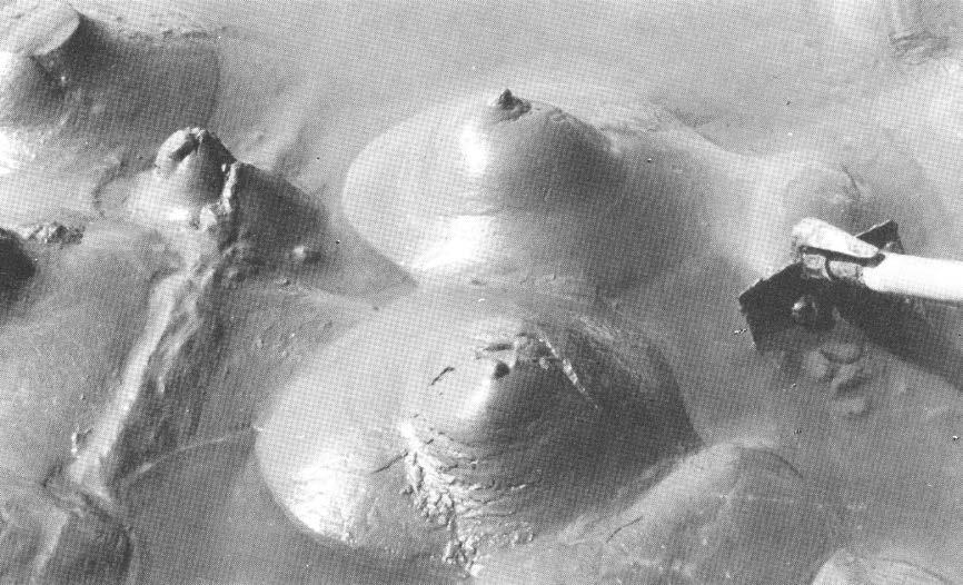 Intrusive structures Loads Ball and pillows Sand dykes Mud volcanoes Monroes 20 cm From Reineck,