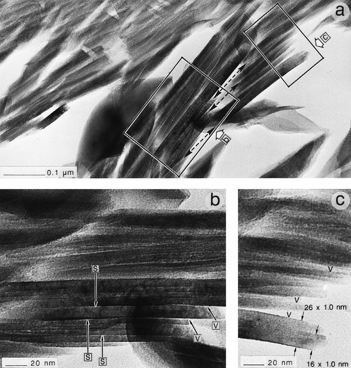 Micrographs of Mica (1:1) Transmission electron micrographs performed on: (a) mica pseudo-crystal; (b) details of the previous micrograph showing swelling interlayers (S) which occur at a given