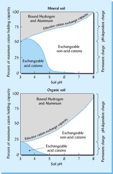 Figure 9.4 General relationship between soil ph and cations held in exchangeable form or tightly bound to colloids in two representative soils.