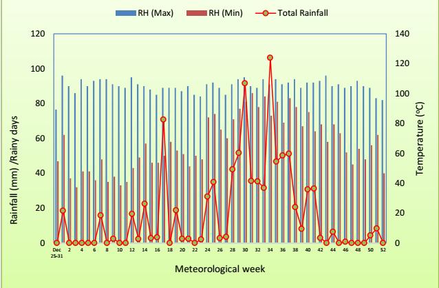 Adiroubane et al., (2007) concluded that high stem borer incidence during months of March (27.6 o c) August- September (30.1 o C) and October- November (21 o C).