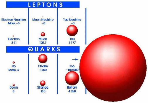 Why is Top-Quark so important?