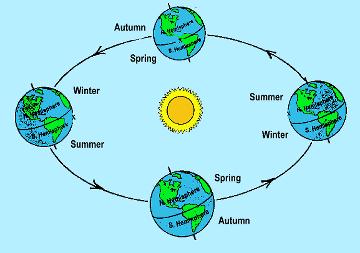 Look at the pictures and observe the differences between Northern and Southern hemisphere. Picture 1 Picture 2 Answer the questions.