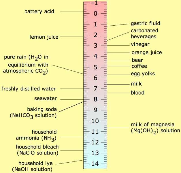 The ph Scale Graphic: