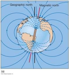 Tidal gravitational attractions too small to be the driving forces for continental drift Evidence for Plate Tectonics the