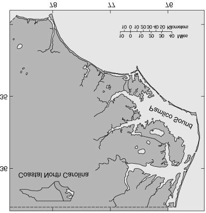 Formation Types Tectonic estuary: land subsides, sea