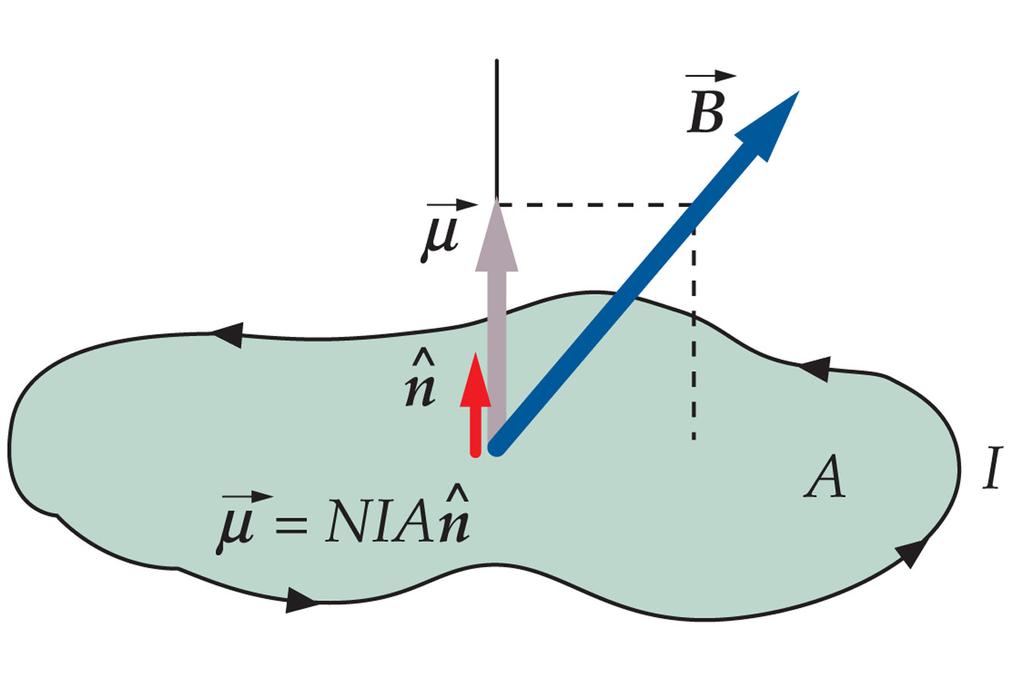 µ = NIAnˆ τ =µbsinθ τ =µ B The Magnetic Moment The net effect on a current loop in a uniform magnetic field is that it experiences a torque.
