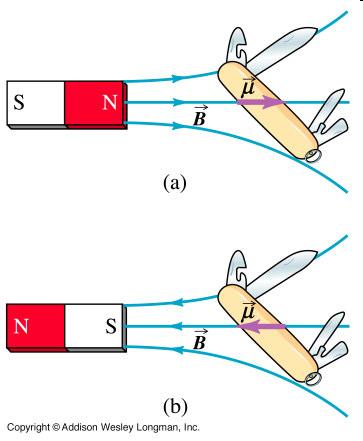 Attraction by a Magnetic Field The magnetic moment of the jack knife acts as if it was a small bar magnet.
