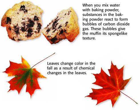 Signs of Chemical Reactions How can you tell when a chemical reaction is taking place? Figure 2 shows some signs that tell you that a reaction may be taking place.