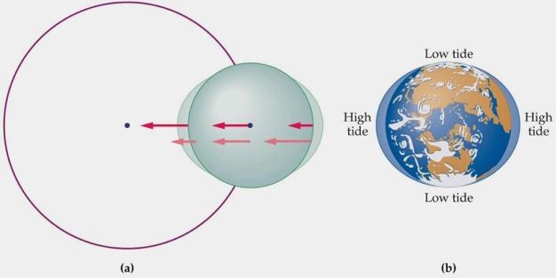 Tides This figure illustrates a general tidal force on the