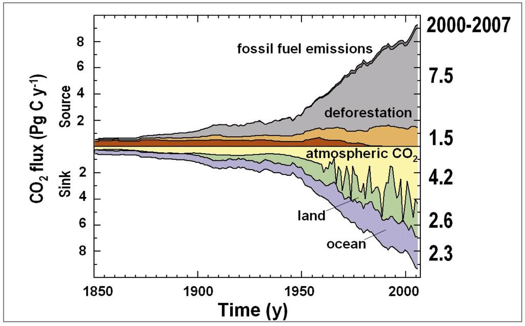 The C Cycle Since the Industrial Revolution Since 1800, by burning fossil fuel and cutting forests, we have released more than 400 billion tons of carbon - half of it during