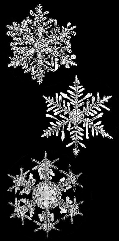 Precipitation SNOW Snowflakes are conglomerations of frozen ice crystals which fall through the Earth's atmosphere.