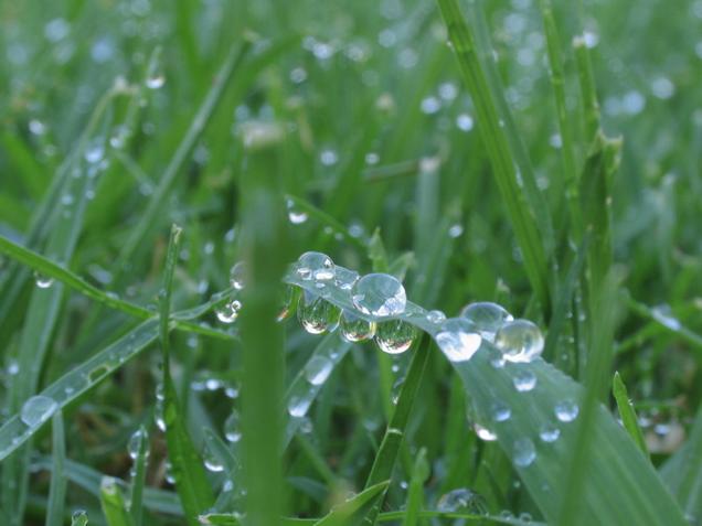 Moisture in the Atmosphere The Dew-Point (DpT) is the temperature at which water vapor condenses into liquid water. The condensed water is called dew.