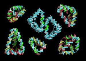 Rapid chiral assembly of rigid DNA building