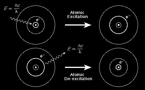 When an electron absorbs energy from light, it jumps to a higher energy