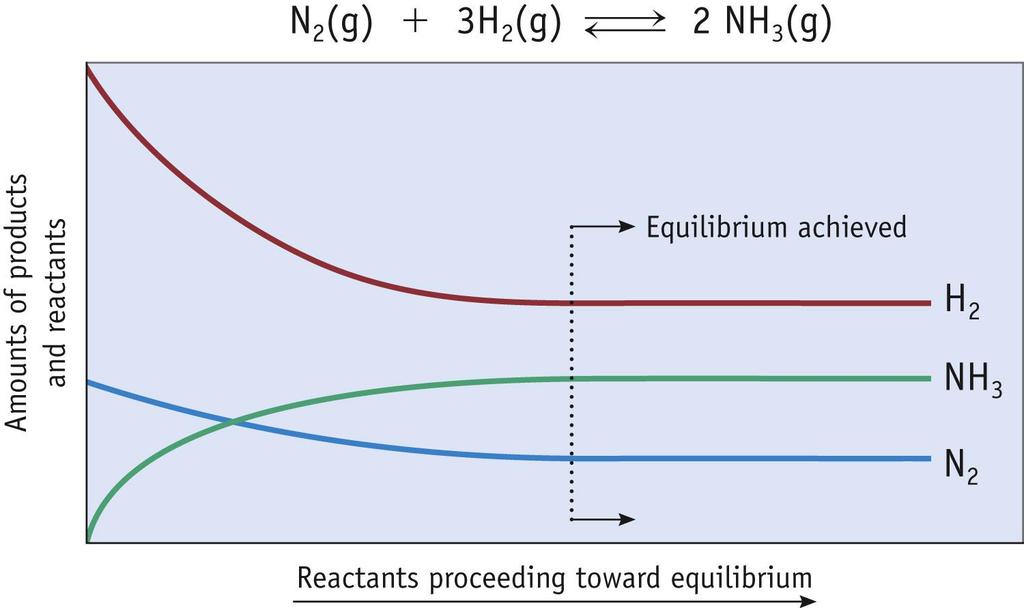 Chemical Equilibrium Once equilibrium is achieved, reaction