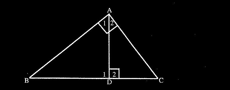 ( Δs OR equiangular Δs ) ( Sides of Δ in prop ) If then If then Theorem 4 The perpendicular drawn from the vertex of the right angle of a right-angled triangle,
