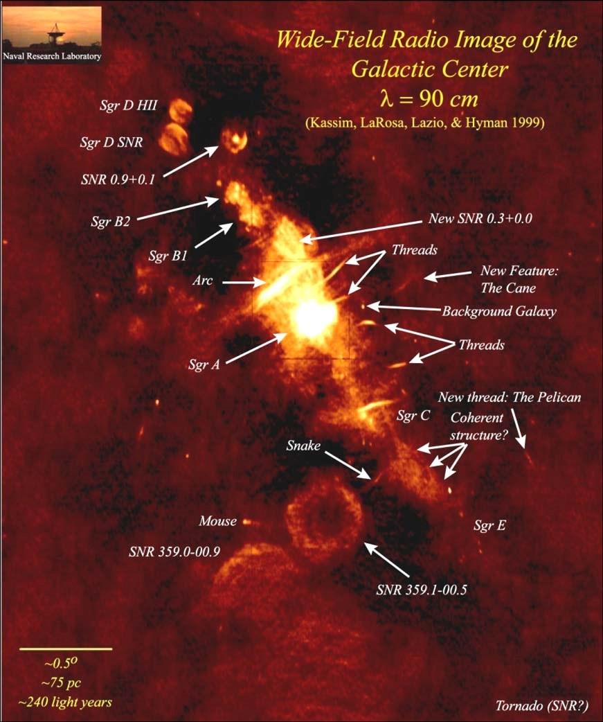 Radio View of the Galactic Center